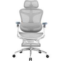 SIHOO Ergonomic Office Chair with Dynamic Lumbar Support, 3D Armrests & Adjustable Backrest, Footrest for Enhanced Comfort, Desk Chair for Home Office