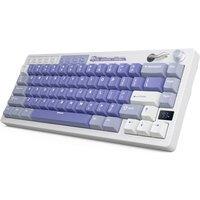 RK ROYAL KLUDGE M65 Wireless Mechanical Keyboard, 60% Compact Gaming Keyboard, 2.4G/Bluetooth/Wired, 6000mAh Gasket Mount Design, RGB Backlit with Kno