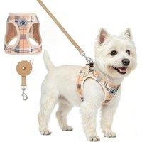 BEAUTYZOO Small Dog Harness and Leash Set, Step in Soft Light Puppy Vest with Breathable Mesh Padded, Adjustable Reflective Escape Proof for Safe Easy