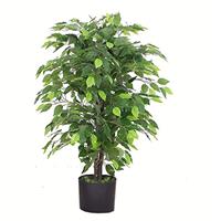 Leaf Artificial Ficus Tree/PlantWhite Edge Bushy120cm