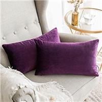 MIULEE Velvet Cushion Covers Soft Decorative Square Throw Pillow Case Pillowcases for Livingroom Sofa Bedroom with Invisible Zipper