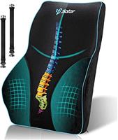 POOTACK Lumbar Support Cushion, Memory Foam Back Support Cushion Lumbar Support for Office Chair, Car Seat, Recliner, with Extension Strap and Mesh Cover