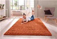 SHAGGY RUG Modern Rugs Living Room Extra Large Small Rectangular Size Soft Touch 30MM / 3cm Thick Pile Living Room Area Rugs Non Shedding