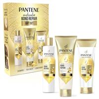 Beauty by Olay, Aussie, Pantene & More