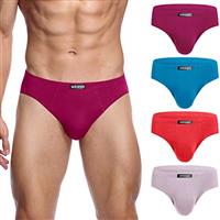 wirarpa Men's Modal Briefs Underwear Soft Microfibre Underpants No Front Silky Touch Slips Covered Waistband Multipack