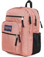 JanSport and other bags