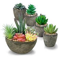PETAFLOP Artificial Succulent Plants Set of 5, Small Realistic Faux Succulent for Home Office Desk Decoration