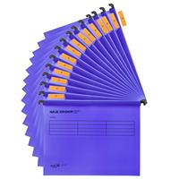 15PC PVC Filing Cabinet A4 Polypropylene Suspension Files with Tabs and Inserts for Office School Desktop File Storage, File Classification File Folder