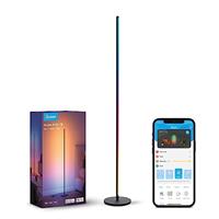 Govee LED Floor Lamp