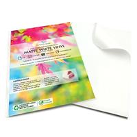 Evergreen Goods Brushed/Glossy Silver/Gold Vinyl Sticker Label - Waterproof, Printable Self Adhesive A4 Sheets - Suitable for Cricut & Silhouette
