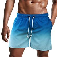 Danfiki Mens Swimming Shorts Swim Trunks Men Quick Dry Beach Shorts Surfing Shorts with Mesh Lining