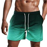 Danfiki Mens Swimming Shorts Swim Trunks Men Quick Dry Beach Shorts Surfing Shorts with Mesh Lining