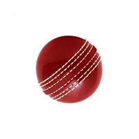 ONEGlobal Incrediball Soft Practice Cricket Ball | Outdoor & Indoor Rubber Cricket Ball With Core & Stitched Seam | For Practice, Honing Skills & Family Fun
