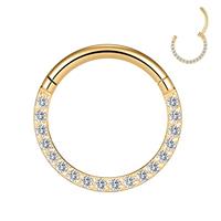 YEBOCIYO Nose Ring Helix Piercing Jewelry Septum Piercing Rook Hoop Conch Daith Earrings 316L Surgical Steel Tragus Hoop Lobe Hoop Clear CZ Lip Eyebrow Belly Nipple Rings 16G 18G