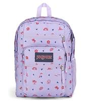 JanSport and other bags