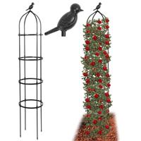 LYFETC Garden Obelisk Stainless Steel Obelisks for Climbing Plants, 2 Set Plant Cage with Birdhead Decor