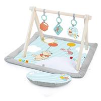 Ingenuity, Bright Starts, Baby Einstein: product selection