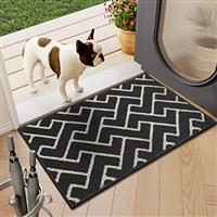 Biscpro Door Mats Indoor,Dirt Trapper Mat Absorbent Non-Slip Low Profile Doormat for Entrance,Inside, Kitchen, Front Door Mat