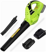 bigzzia Cordless Leaf Blower with 20V Li-ion Battery, Electric Garden Blower, 2-Speed, Detachable Tubes, 3.3 IBS Lightweight, 209CFM Blower for Leaf Dust Snow