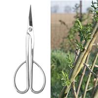 Bonsai Scissors Stainless Steel Leaf Bud Scissors Branch Cut