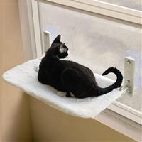 MEWOOFUN Cat Window Bed Hammock for Indoor Cats - 54x30cm Foldable Cat Window Perch w/Reversible Mat, Strong Suction Cups Sturdy Holds Up to 18kg