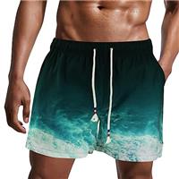 Danfiki Mens Swimming Shorts Swim Trunks Men Quick Dry Beach Shorts Surfing Shorts with Mesh Lining