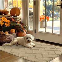 Biscpro Door Mat DoorMat Indoor Washable,Doormat Indoor Dirt Trapper Non-slip,Absorbent Inside Entrance Rug Mat for Entryway,Patio,Garden,Laundry Room,Pets