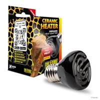Pet Products