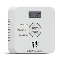 Ruan Carbon Monoxide Alarm with LCD Display 10 Years Life CO Detector with Test Button Compliant Passed the EN50291 standard