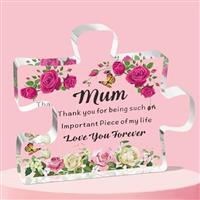 QMVMV Auntie Gifts from Niece Nephew Acrylic Block Puzzle Au