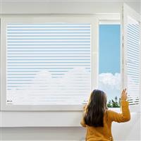 Linarun One Way Window Film Privacy 60x1000 Privacy Film for