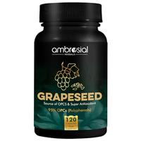 AMBROSIAL