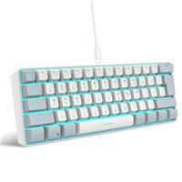 Snpurdiri 60% Wired Gaming Keyboard, Ultra-Compact 61 Keys 60 Percent Mini Gaming Keyboard for PC/Mac Gamer, Typist, Travel, Easy to Carry on Business Trip(Iron Grey)