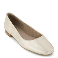 TOMS