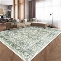 HOMFINE Vintage rug for Living Room