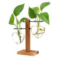 XXXFLOWER Desktop Propagation Station Glass Plant Bulb Vase with Wooden Stand