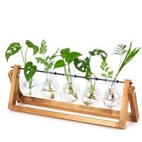 XXXFLOWER Desktop Propagation Station Glass Plant Bulb Vase with Wooden Stand