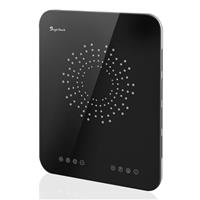 Portable Induction Hob