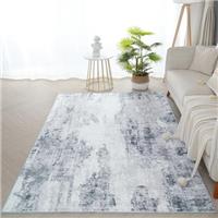 Xfrog Abstract Area Rug Modern Washable Small Rug Entryway Rug for Living Room Soft Short Pile Floor Carpet Door Mat Non Slip Rug for Entrance Kitchen Bathroom Hall