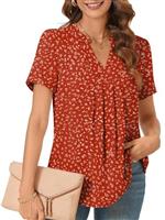 Bestbee Ladies Summer Tops, Dressy Chiffon Blouses Pleated Shirts Notch V Neck Short Sleeve Tunic Tops Casual T-Shirts