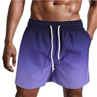 Danfiki Mens Swimming Shorts Swim Trunks Men Quick Dry Beach Shorts Surfing Shorts with Mesh Lining