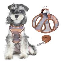 PawSailor Extra Small Dog Harness with Leash Set, Step-in Ai