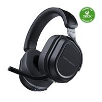 Turtle Beach