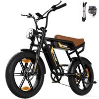 HITWAY Electric Bicycle, 20 * 4.0 inch Off-Road EBIKE for Adults with 250W Motor and 48V 15Ah/2 * 48V13Ah Battery, 7 Speed Snow Bike range 45-150 km