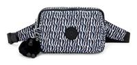 Kipling and other bags