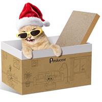 Petslucent Cat Scratching Board - Large Scratcher With Box, Easy-to-Scratch Pad, Corrugated Cardboard Lounge for Indoor Kitty Play