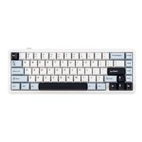 EPOMAKER x AULA F65 65% Wireless Mechanical Keyboard, Gasket Custom Gaming Keyboard Hot Swap with RGB, Bluetooth/2.4G/USB, lubed Linear Switches
