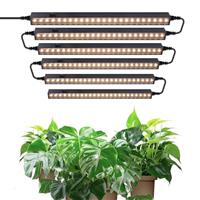 Barrina T5 Grow Light 6 Packs