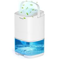 Dehumidifier for Home, 1000mL with Auto Shut-off, 258 sq ft Small Portable Dehumidifier Ultra Quiet Against Moisture and Mildew, Bedroom Bathroom