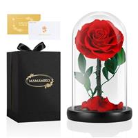 MAMAMIKO Preserved Flowers Gifts For Women, Friends, Friend, Family, Mother